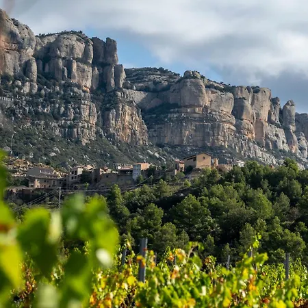 펜션 Montsant Wine House With Mountain Views *