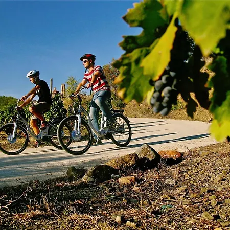 Montsant Wine House With Mountain Views 펜션